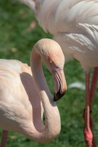 tierpark-bochum-07